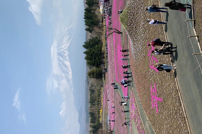 Private Tour to Mt. Fuji and Hakone (Fully Licenced Operator) - Shrines, pagodas, and the classic Fuji photograph