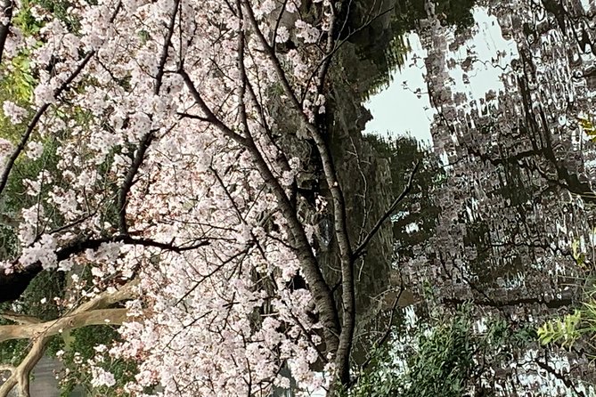 Private Tour to Mt. Fuji and Hakone (Fully Licenced Operator) - The optional stops that need careful planning
