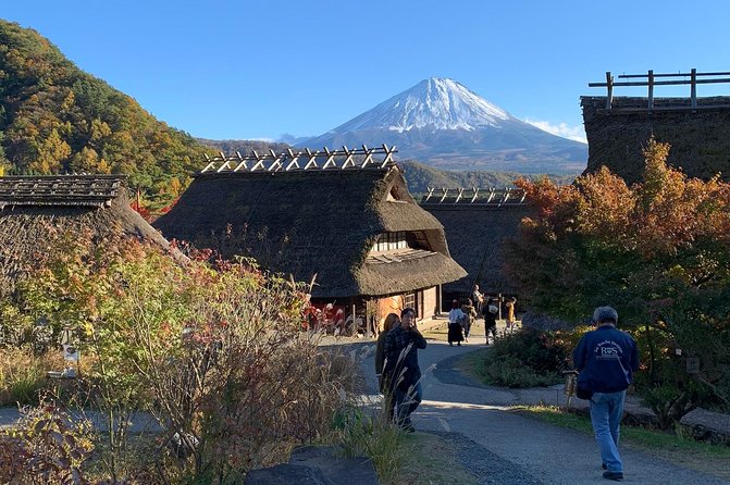 Private Tour to Mt. Fuji and Hakone (Fully Licenced Operator) - Mt. Fuji 5th Station: reach the mountain when conditions allow