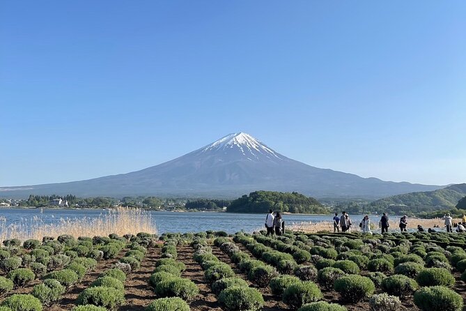 Private Tour to Mt Fuji and Hakone with English Speaking Driver - Why a Private Vehicle Makes This Day Possible
