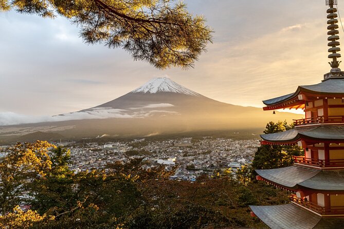 Private Tour to Mt Fuji and Hakone with English Speaking Driver - Chureito Pagoda: The Classic Fuji Photograph