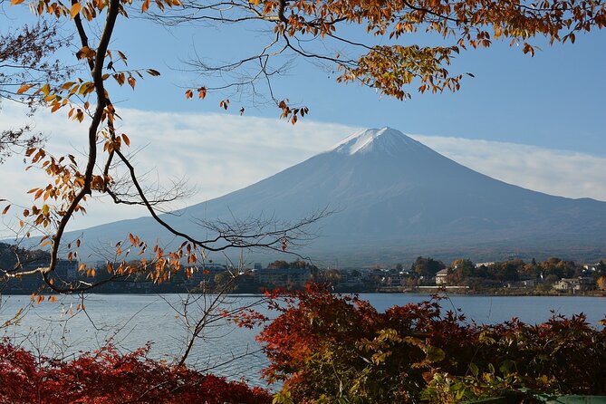 Private Tour to Mt Fuji and Hakone with English Speaking Driver - Oshino Hakkai and the Springs at Fuji’s Foot