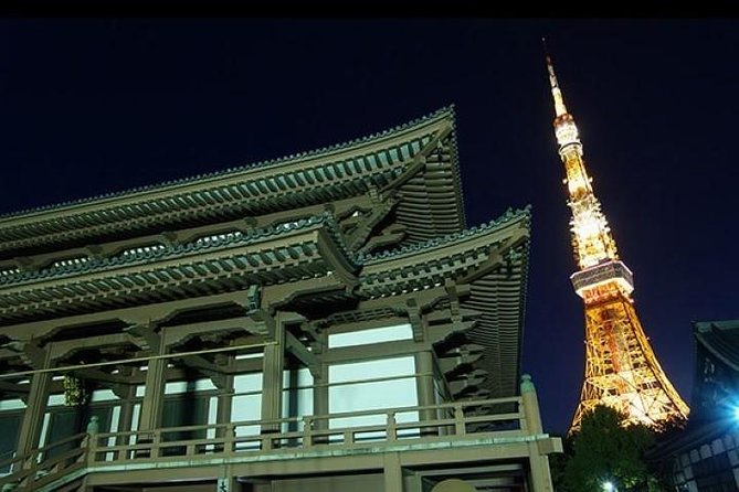 Private tour Tokyo - The Harmony of Modernity and Tradition - Why the subway help may be worth the price