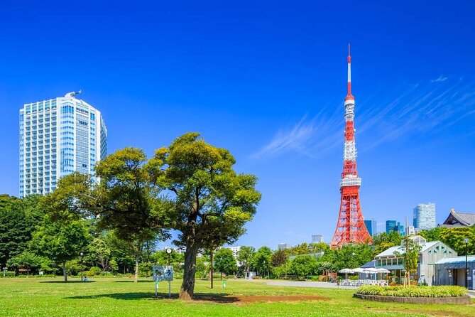 Private Transfer for Custom Day Tour in Tokyo - Key points to know before booking