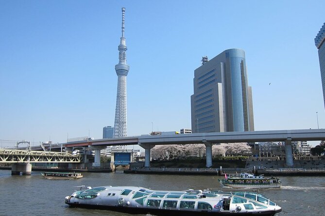 Private Transfer for Custom Day Tour in Tokyo - Choosing the Sumida River cruise