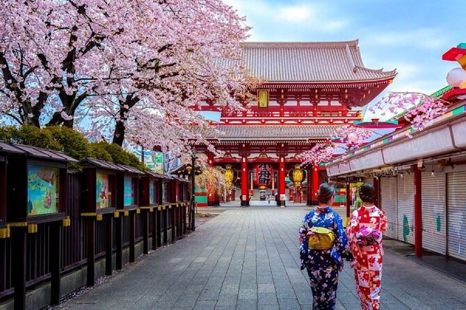 Private Transfer for Custom Day Tour in Tokyo - What the vehicle and driver service includes