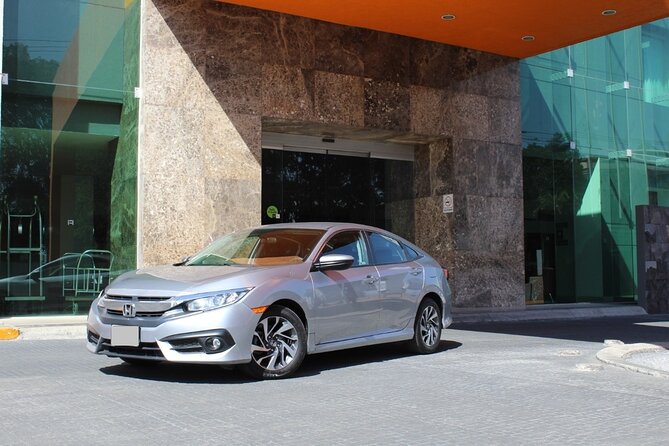 Private Transfer from Tokyo Hotels to Yokohama Cruise Port - Choosing the right vehicle for your group
