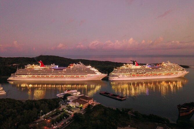 Private Transfer from Tokyo Hotels to Yokohama Cruise Port - Who gets the most value from a private port transfer