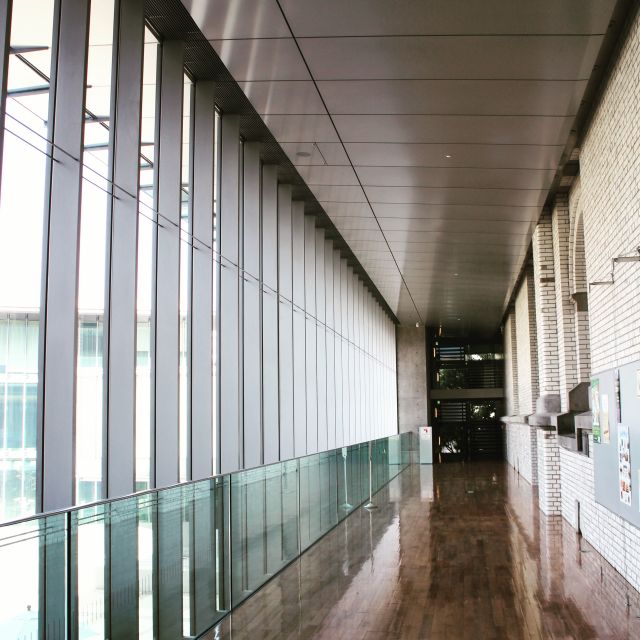 Private Ueno Park Architecture Tour - Price, timing, and what you receive