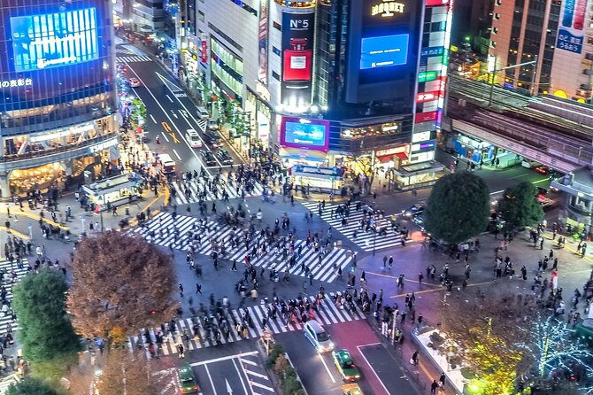 Real Anime Culture Tour in Shibuya: Food, Shopping & Game Fun - The izakaya meal and Japanese drinks