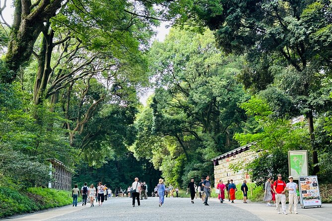 Sacred Morning Walk and Brunch Meiji Shrine - Entering Meiji Shrine with context