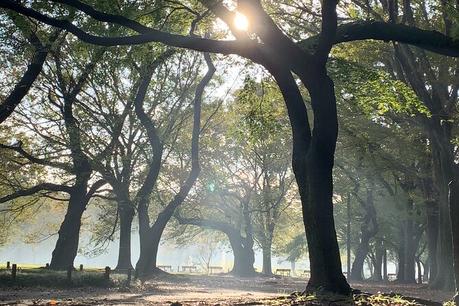Sacred Morning Walk and Brunch Meiji Shrine - Who should book this morning walk