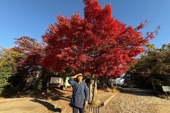 Samurai Guide Sho’s Mt. Takao Hike, Temple & Onsen from Shinjuku - Why Mt. Takao works as a Tokyo day trip
