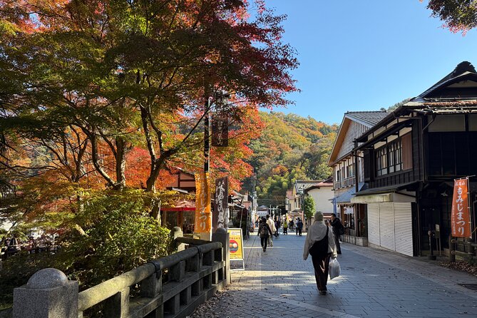 Samurai Guide Sho’s Mt. Takao Hike, Temple & Onsen from Shinjuku - The onsen, food, and craft beer finish