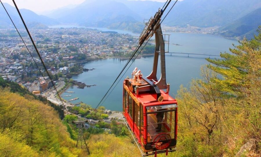 Seasonal Mt. Fuji Scenic Views, Fruit Picking and Ropeway! - Lunch: Yamanashi houtou noodles