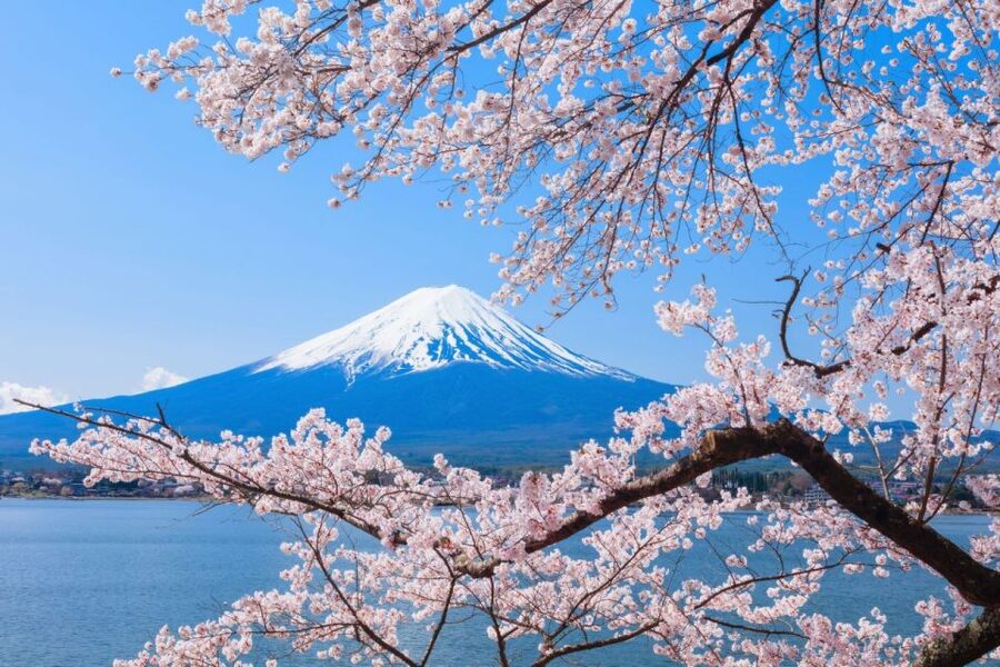 Seasonal Mt. Fuji Scenic Views, Fruit Picking and Ropeway! - Should you book the Mt. Fuji fruit-picking tour?