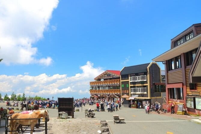 Seasonal Mt. Fuji Scenic Views, Fruit Picking and Ropeway Ride! - A full Fuji day from Shinjuku