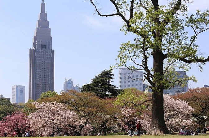 Shared Departure Transfer : Central Tokyo Hotel to Haneda Airport - Who should book this transfer?