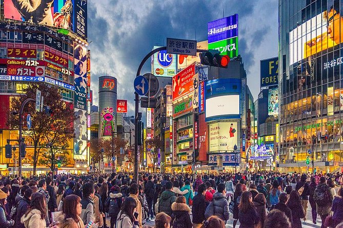 Shibuya All You Can Eat Best Food Tour The Original One in Tokyo - MEGA Don Quijote and the everyday Tokyo shopping stop