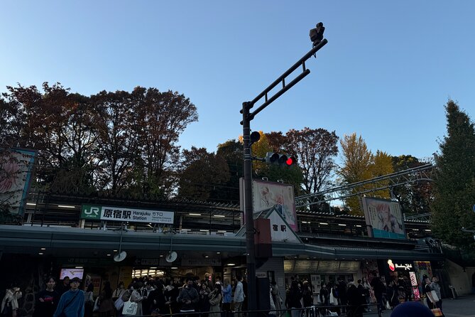 Shibuya and Harajuku Highlights Walking Tour - Key points to know before booking