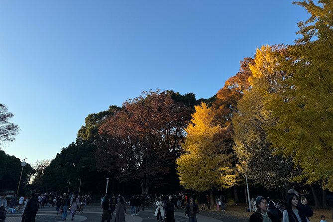 Shibuya and Harajuku Highlights Walking Tour - Starting at Meiji Jingu Shrine