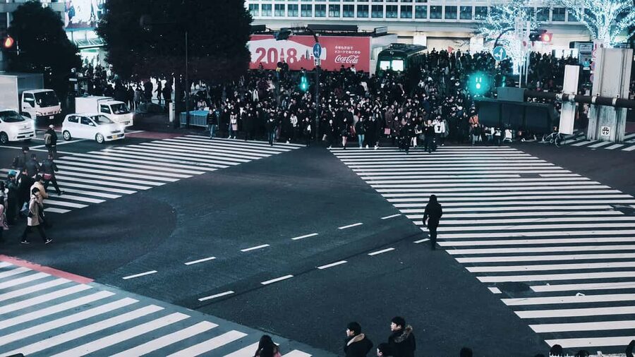 Shibuya: Crossing, Hachiko & Shibuya Sky Guided Tour - Key points to know before you book