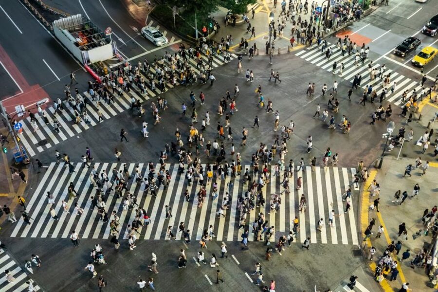 Shibuya & Harajuku: Hidden Gems & Highlights Private Tour - How the Two to Six Hour Choice Changes the Day