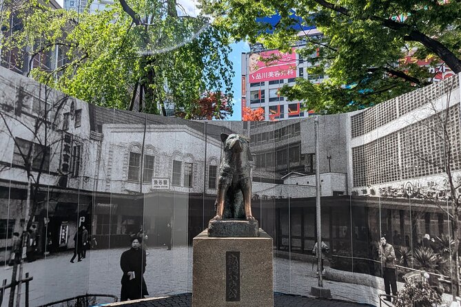 Shibuya Highlights Hachiko Scramble Meiji Jingu and Sky - Key points to know before booking
