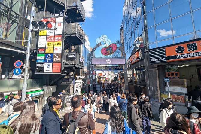 Shibuya Highlights Hachiko Scramble Meiji Jingu and Sky - Cat Street toward Harajuku