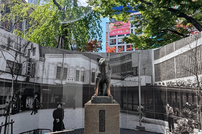 Shibuya Highlights Hachiko Scramble Meiji Jingu and Sky - Shibuya Sky and the extra ticket cost