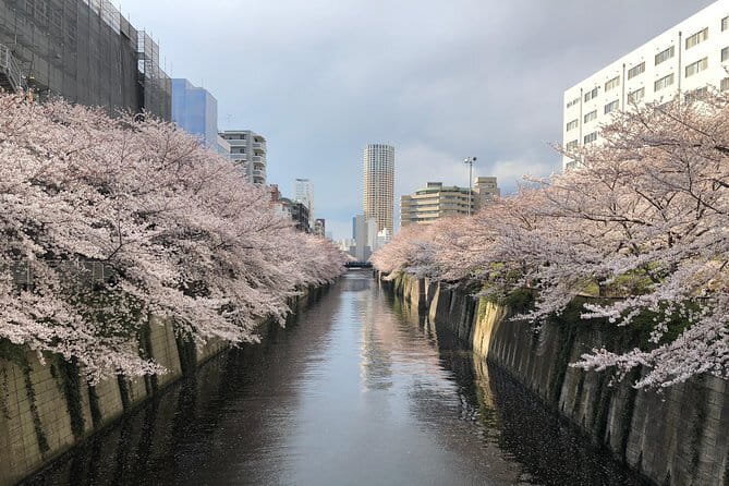 Shinjuku: Food Tour – 15 Dishes & 3 Drinks at 4 Eateries - Timing, meeting point, and small practical details