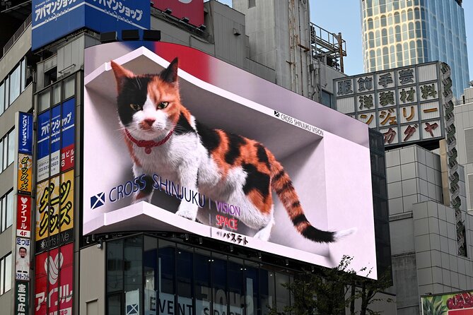 Shinjuku Highlights Walking Tour - Why Shinjuku Works So Well on Foot