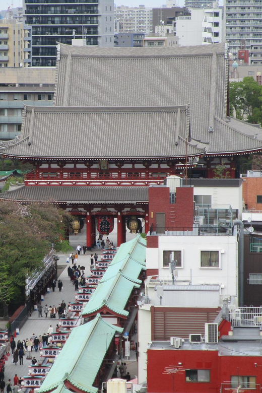 Shuttle Van Tokyo-Tour, for 4 Hours or 6 Hours+Transfer Time - The longer route adds Meiji Jingu and Tsukiji