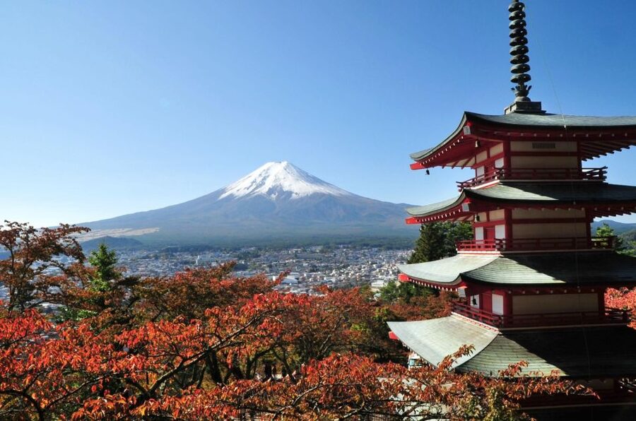 Sightseeing Day Trip to Mount Fuji and Hakone Green Number - Starting from Tokyo: convenience with a traffic warning