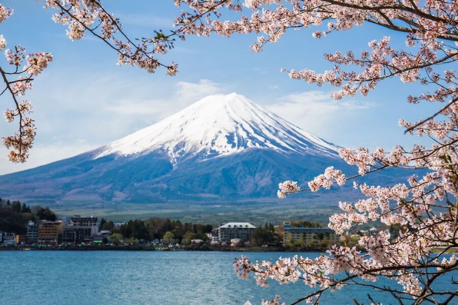 Sightseeing Day Trip to Mount Fuji and Hakone Green Number - A guide who drives, explains, and handles the details