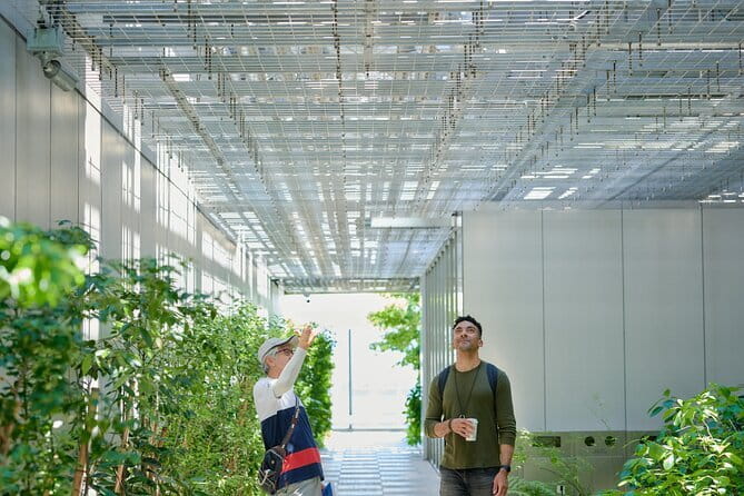 Small-Group Architecture Tour in Ginza, Tokyo - Key details before you book
