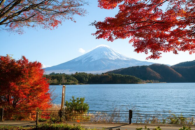 Small Group Tour Mount Fuji and Lake Kawaguchi from Tokyo - Mount Fuji’s 5th Station at high elevation