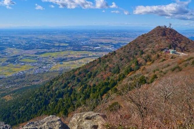 Snow Monkey Nagano Day Tour by Car English Driver in Person Guide - Is $788.35 good value for your group?