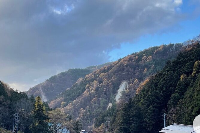 Snow Monkey Nagano Day Tour by Car English Driver in Person Guide - Who should book this private Nagano day trip?