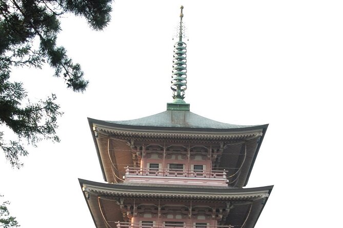 Snow Monkey Park & Zenkoji Temple Nagano Pvt. Full Day Tour. - Practical advice for making the day work