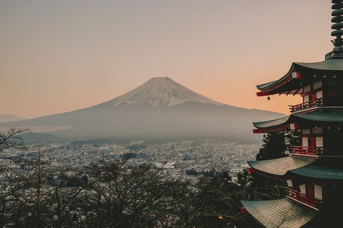 Snow monkeys from Tokyo: Full-Day Private trip with Local Guide - Why this private Tokyo day trip works