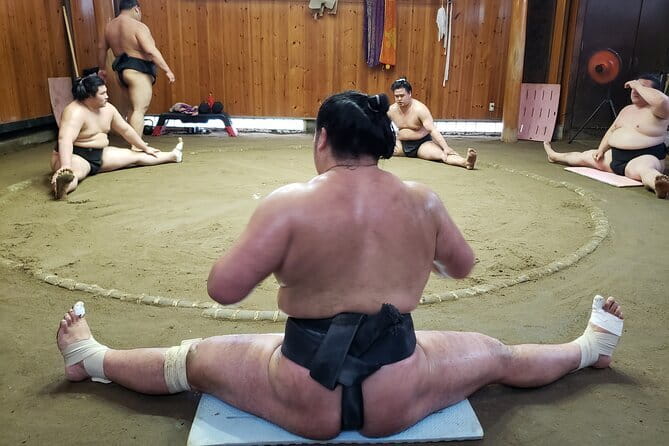 Sumo Practice Viewing Guided Tour and Photo with Sumo Wrestlers - Key details before you book