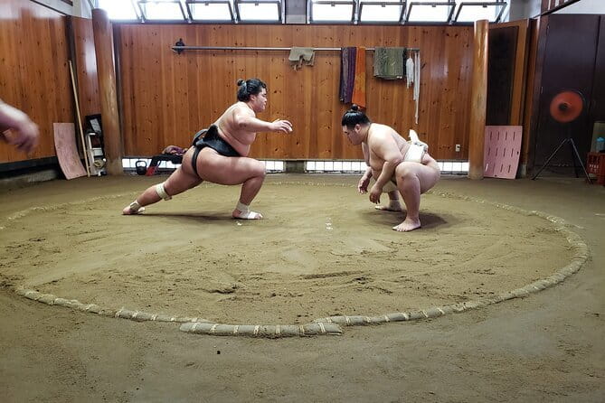 Sumo Practice Viewing Guided Tour and Photo with Sumo Wrestlers - Forty-five minutes of close-up practice