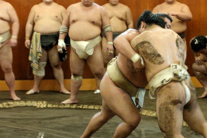 Sumo Training Watching Experience in Tokyo - Why this is real sumo, not a stage performance