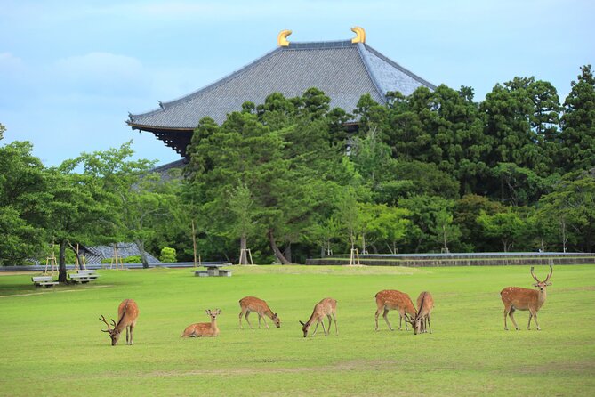 Super Express Nara & Kyoto Private 1-Day Tour from Tokyo - Starting before sunrise in central Tokyo