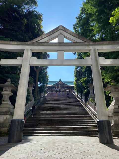 Tameike: Exploring the Heart of Japanese Politics Tour - Should you book the Tameike tour?