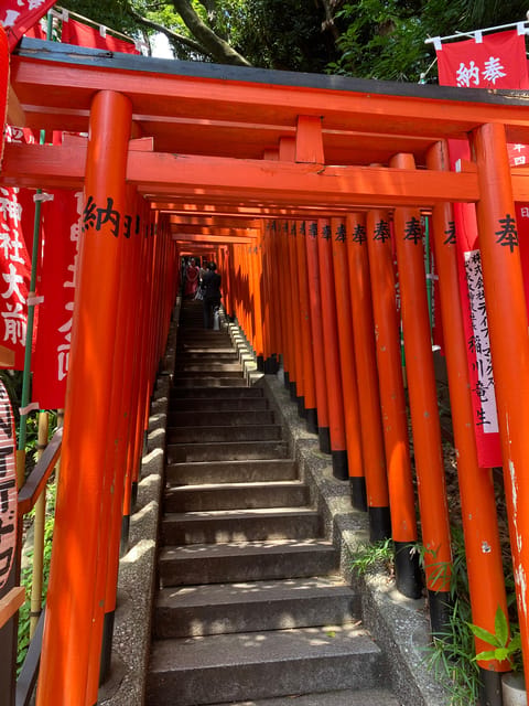 Tameike: Exploring the Heart of Japanese Politics Tour - Hie Shrine, monkey guardians, and the Thousand Torii Gates