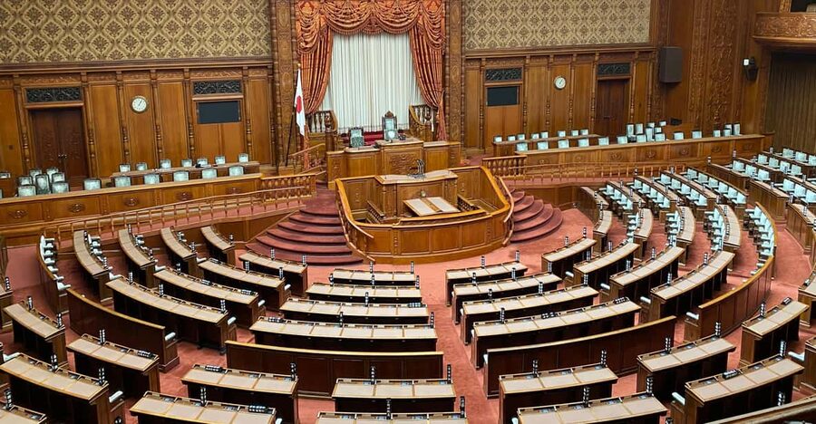 Tameike: Exploring the Heart of Japanese Politics Tour - Inside the National Diet Building