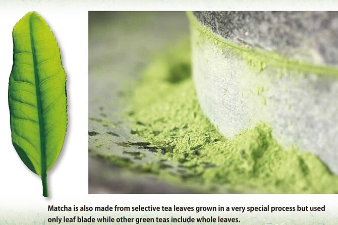 Tea Ceremony Workshop in Tokyo by the Experienced Instrucor - Making usucha yourself