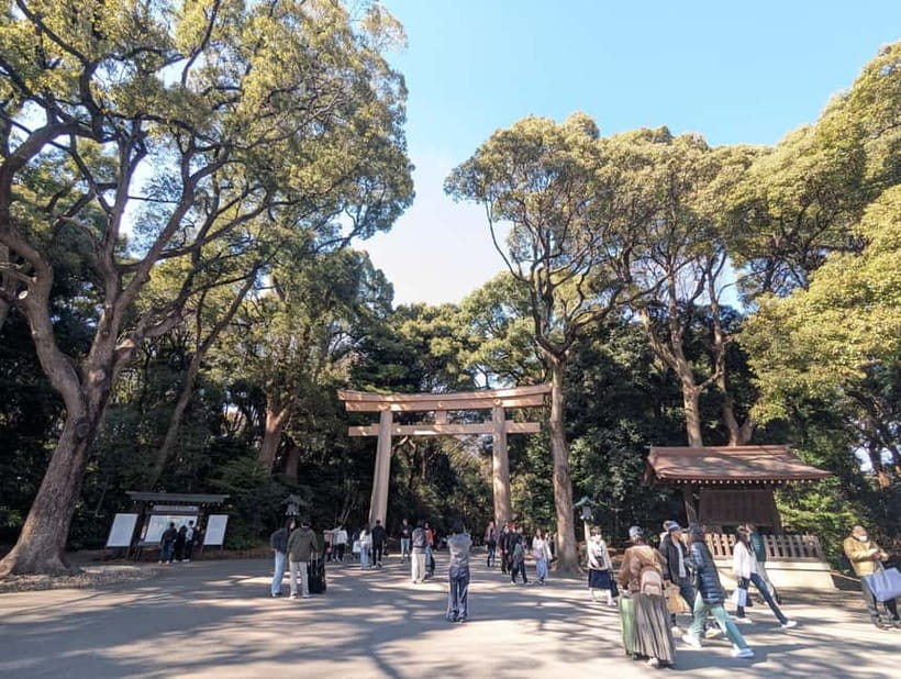 This is Real TOKYO!! SHIBUYA Tour from TGP!! - Key points to know before booking